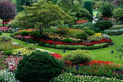 Gardening